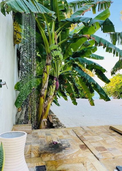 Luxury Lions Villas Zanzibar - with Private Cook&Infinity Pools, Kiwengwa, Tansania