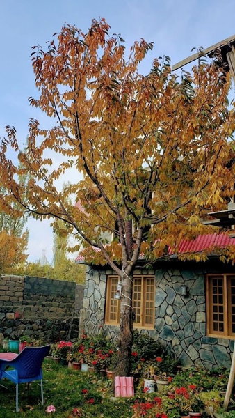 Sehrish Guest House Skardu, Skardu, Pakistan