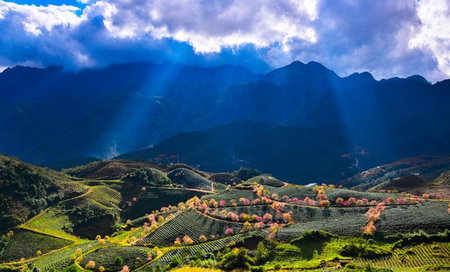 Sapa Dao Homestay, Sa Pa, Vietnam