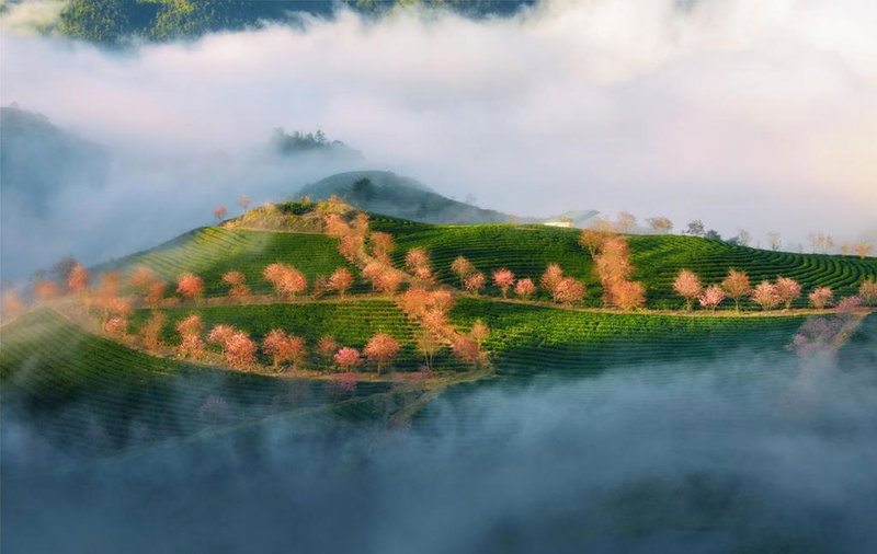 Sapa Dao Homestay, Sa Pa, Vietnam