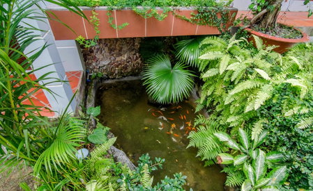 Dong Xuan Hong Hotel, Phu Quoc, Vietnam