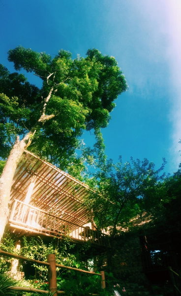 Moc Chau Retreat, Mộc Châu, Vietnam