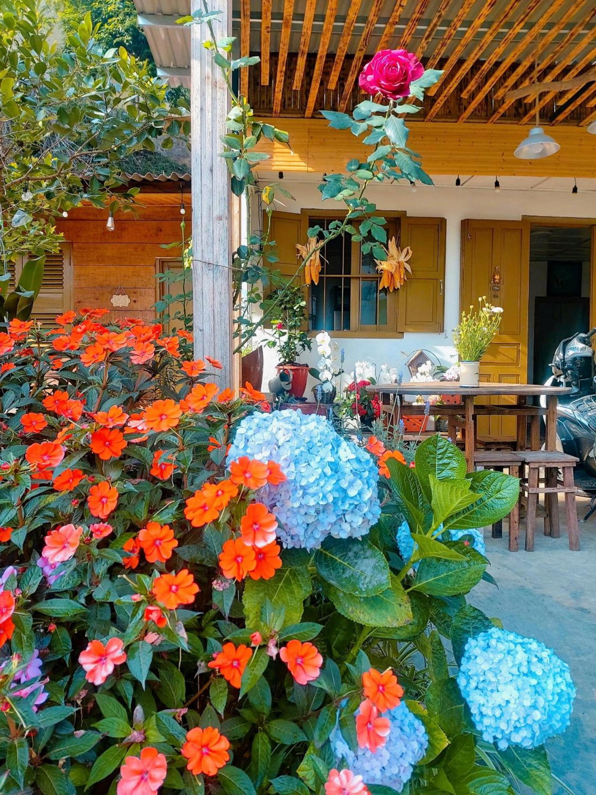 Soul PnB Homestay, Вьетнам