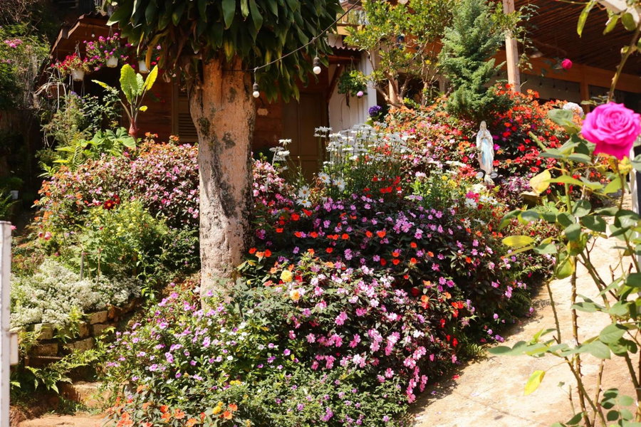 Soul PnB Homestay, Da Lat, Vietnam