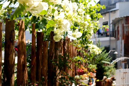 Soul PnB Homestay, Da Lat, Vietnam