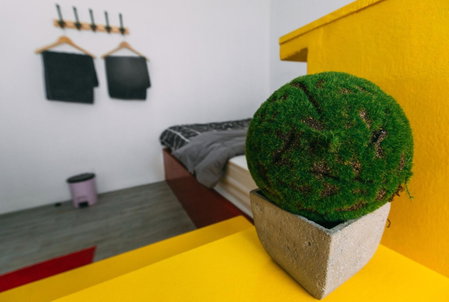 Aekkeko hostel, Phuket Town, Thaïlande