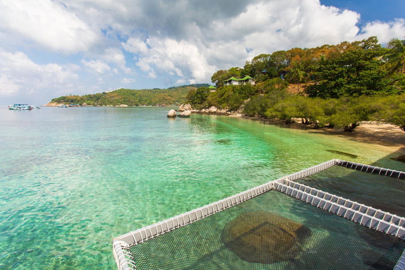 Koh Tao Relax Freedom Beach Resort, Koh Tao, Thailand