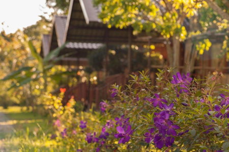 Chiang Dao Reset, Chiang Dao, Thailand