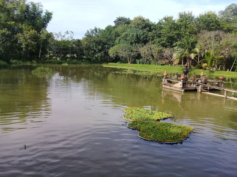 Baan Suan Jantra Home Stay, Chiang Rai, Thailand