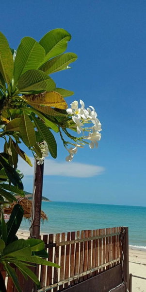 Lipa Bay Resort, Lipa Noi, Thailand