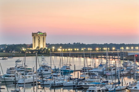 Holiday Inn Charleston-Riverview by IHG, Charleston, United States