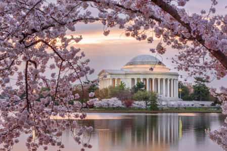 Crowne Plaza College Park - Washington DC by IHG, Greenbelt, United States