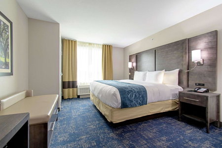Comfort Suites Humble Houston IAH, Humble, United States