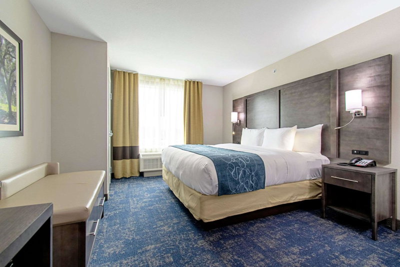 Comfort Suites Humble Houston IAH, Humble, United States