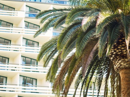 Fairmont Miramar Hotel & Bungalows, Los Angeles, United States