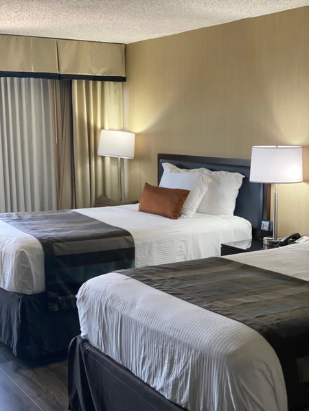Wingate by Wyndham Springfield, Springfield, Estados Unidos