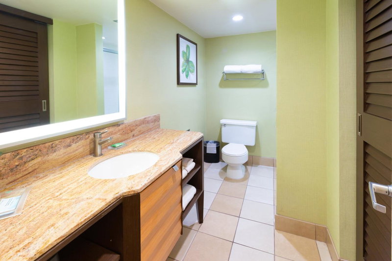 Holiday Inn San Jose-Silicon Valley by IHG, San Jose, Соединённые Штаты