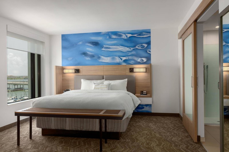 SpringHill Suites by Marriott Bradenton Downtown/Riverfront, Bradenton, United States
