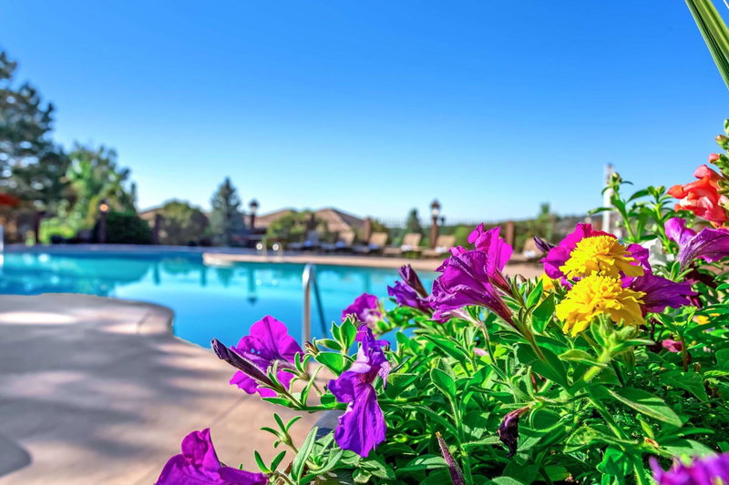 Cheyenne Mountain Resort, a Destination by Hyatt Hotels, Colorado Springs, United States