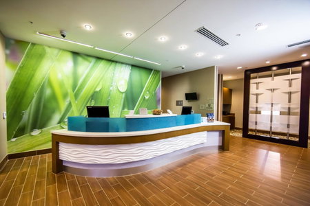 SpringHill Suites Lumberton, Lumberton, United States