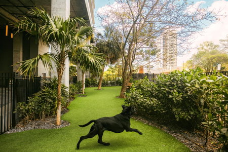 Flow Hotel Fort Lauderdale, Fort Lauderdale, États-Unis
