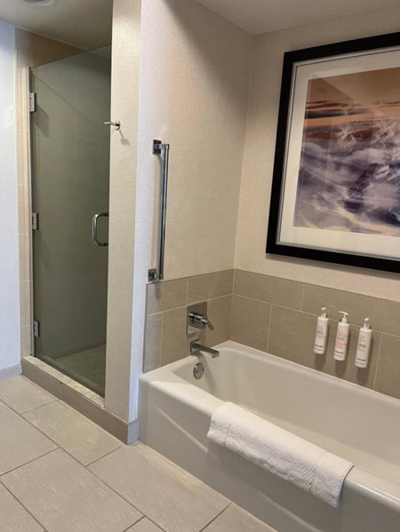 Chicago Marriott Suites O'Hare, Rosemont, United States