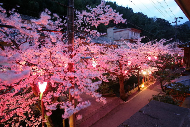 Sento Ryokan, Toyooka, Japan