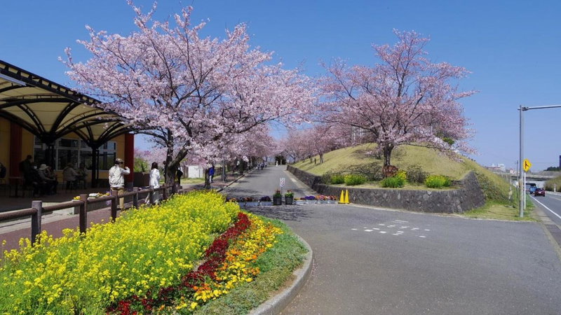 Karin doo Hotel, Narita, Japan