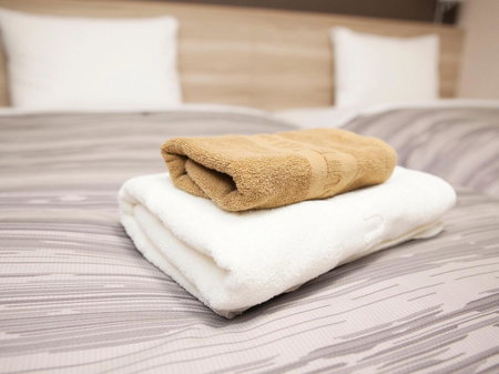 Hotel Route Inn Matsuyama Chuo -Katsuyama Dori-, Matsuyama, Japon