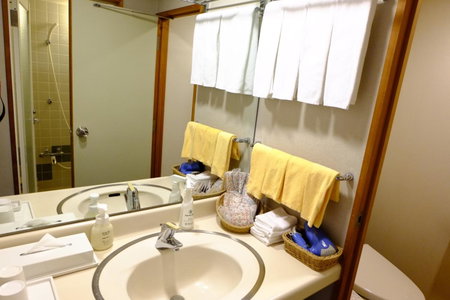 Kofu Kinenbi Hotel, Kofu, Japón