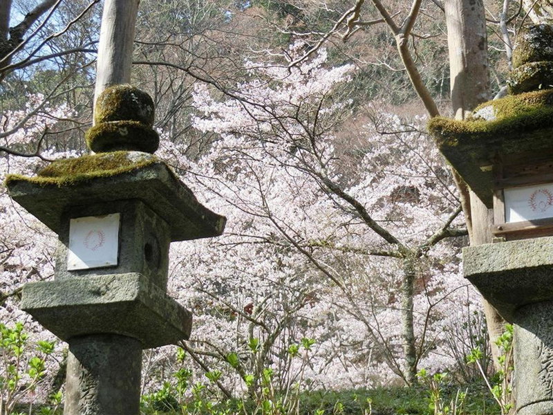 Tounomine Kanko Hotel, Asuka, Japan