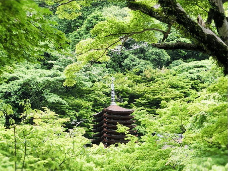 Tounomine Kanko Hotel, Asuka, Japan