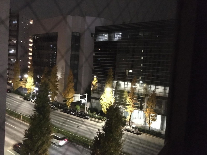 Olympic Inn Azabu, Tokyo, Japan