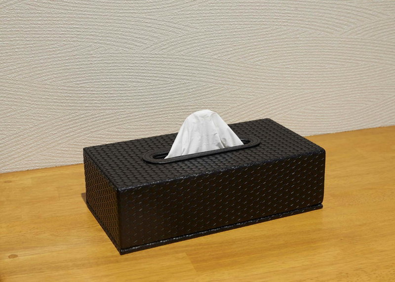 IKIDANE Residential Hotel Sumida Kyojima, Tokyo, Japón