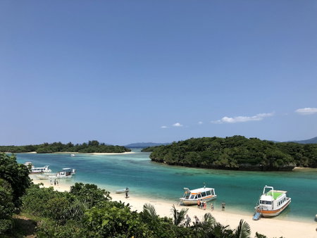 Painushima Resort Coral Fish, Ishigaki, Japan