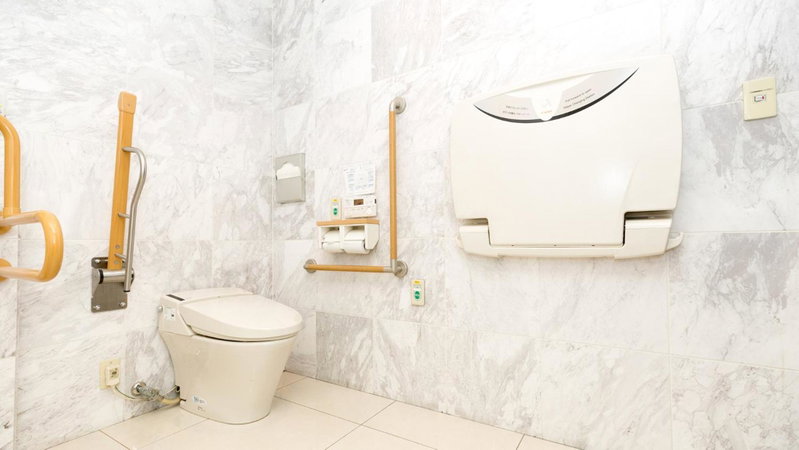 Toyoko Inn Kagoshima chuo eki Higashi guchi, Kagoshima, Япония