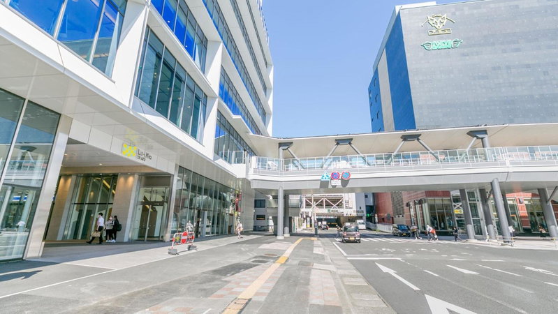 Toyoko Inn Kagoshima chuo eki Higashi guchi, Kagoshima, Япония