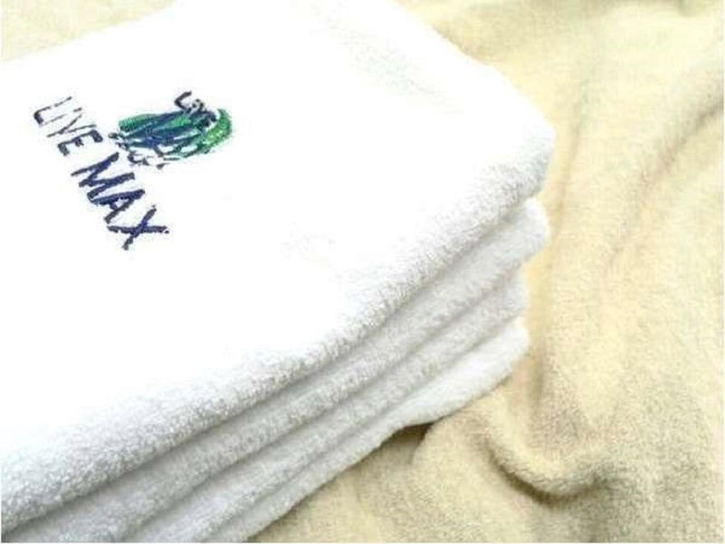 HOTEL LiVEMAX BUDGET Tokyo Hamura Ekimae, Hamura, Japan