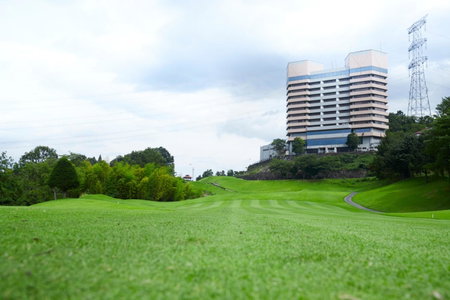Myogi Green Hotel, Tomioka, Japan