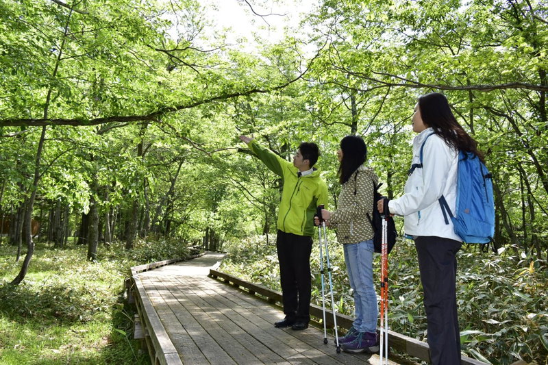 Kyukamura Nikko-Yumoto, Nikko, Япония