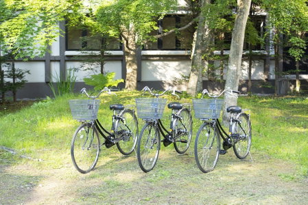 Hotel Marroad Karuizawa, Karuizawa, Япония