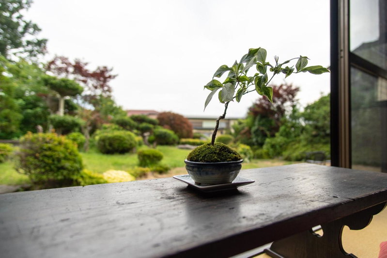 Hostel Michikusa-Ya, Fujikawaguchiko, Japon