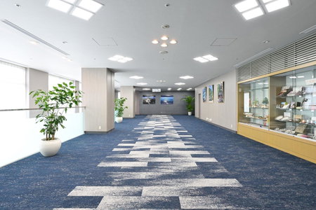Tokushima Grandvrio Hotel, Tokushima, Japan