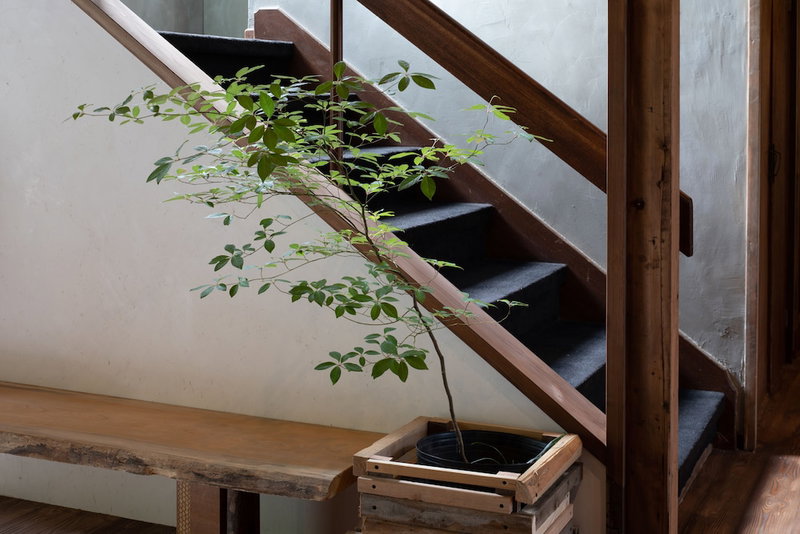 Irori Guesthouse Tenmaku - Hostel, Hakone, Япония