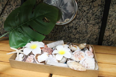 Okubo Hotel Hawaii, Tokyo, Япония