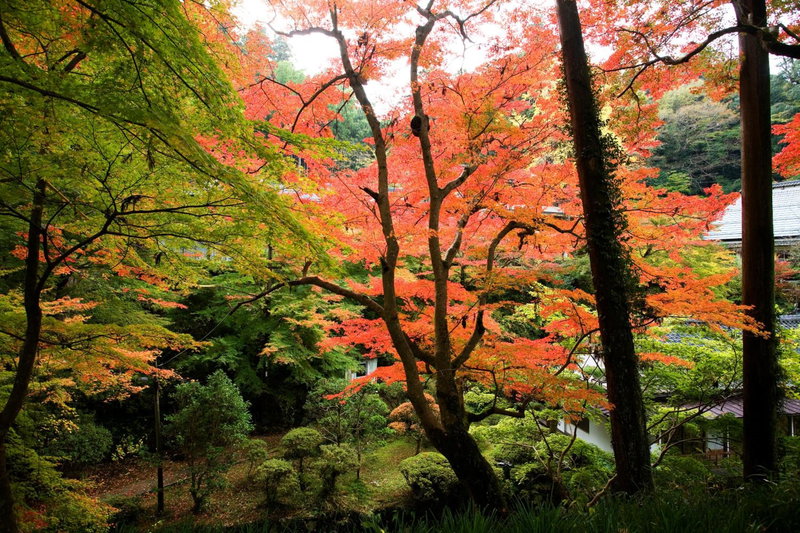 Shokinkan, Yasugi, Japan