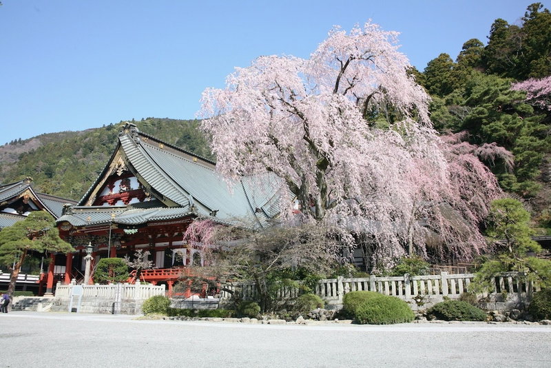 Temple Hotel Habanobo, Chuo, Japan