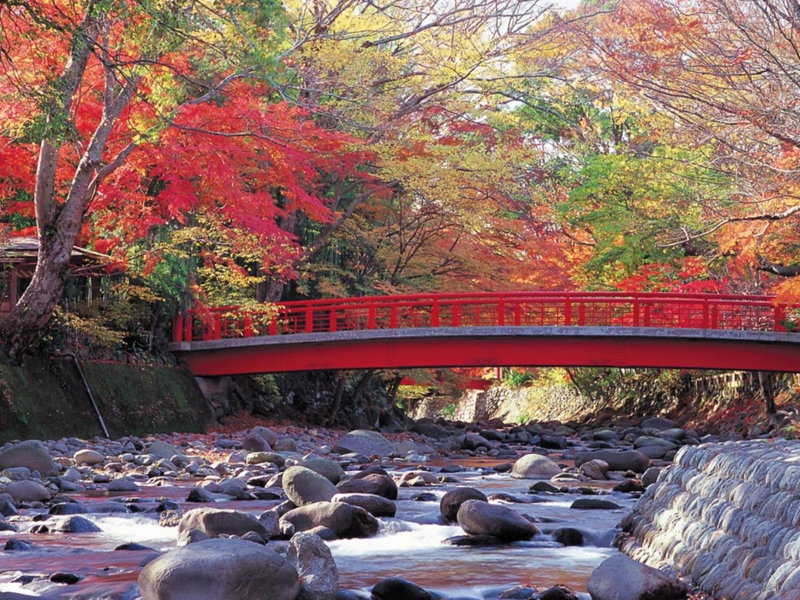 Shuzenji Onsen Hotel Takitei, Izu, Japón