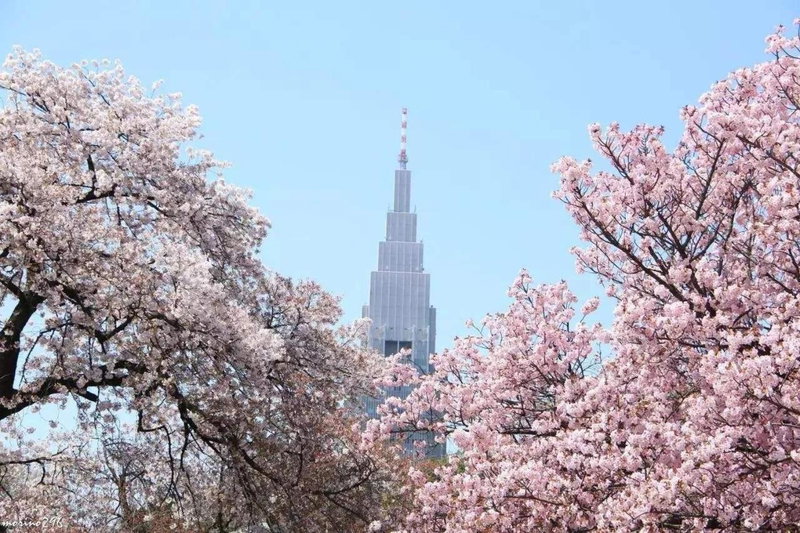 Hotel Koryukaku, Tokyo, Япония