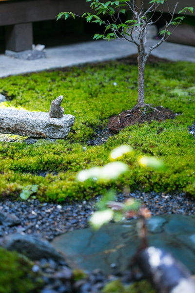 Ryokan Mugen (Adult Only), Kyoto, Япония